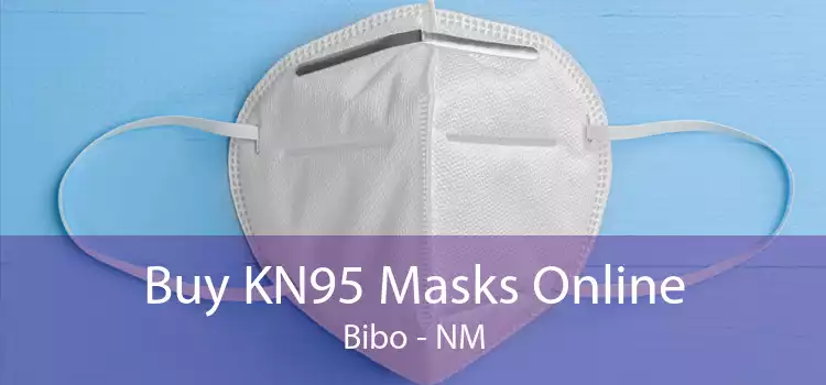 Buy KN95 Masks Online Bibo - NM
