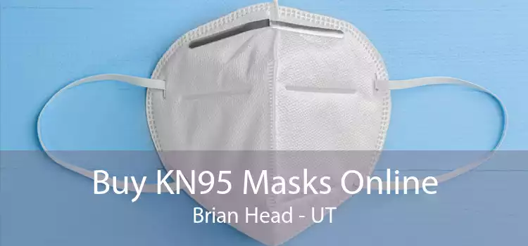 Buy KN95 Masks Online Brian Head - UT