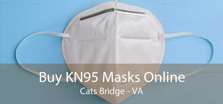 Buy KN95 Masks Online Cats Bridge - VA